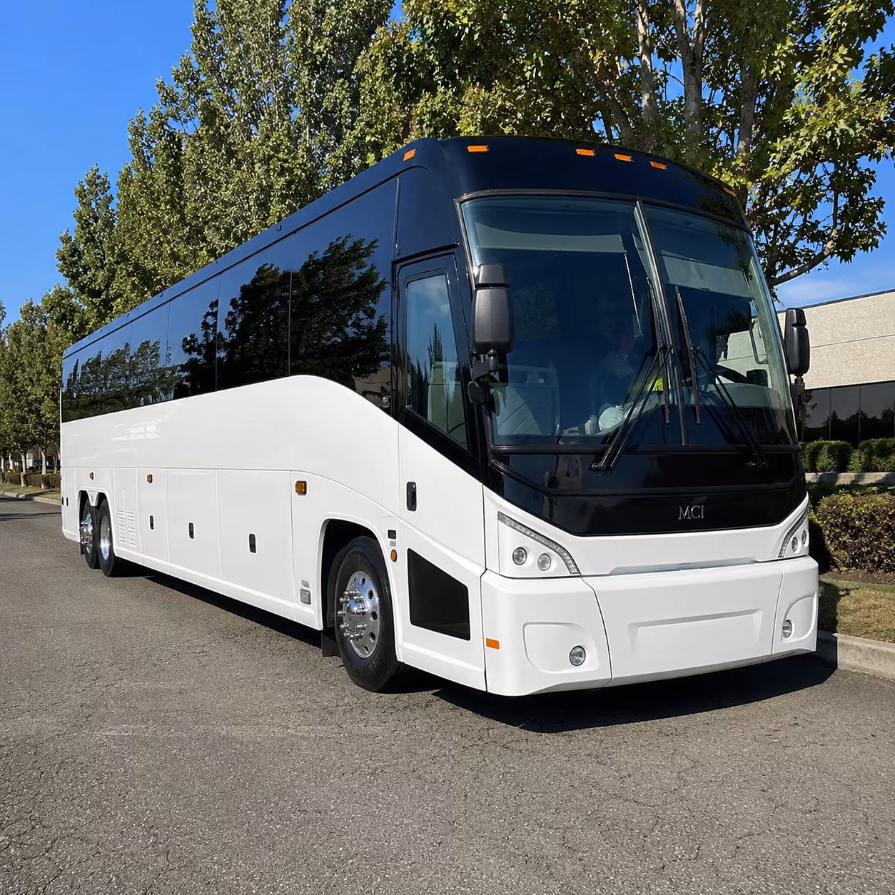 birmingham 50 passenger charter bus